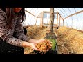 High Tunnel Prep | FREE Nutrients For Our Garden