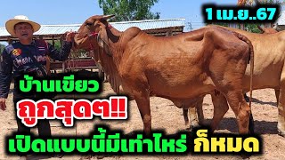 คอกนี้ถูกสุด EP.80 | 1 เม.ย.67 | นาทีทอง❗️ใครเร็วใครทันคนนั้นได้ เปิดแบบนี้มีเท่าไหร่ก็หมด ไปต่อได้