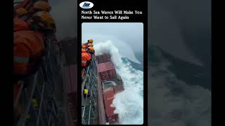 Massive Waves Swallow Cargo Ships Whole #ocean #storm #maritime