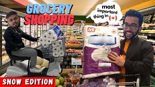 Grocery Shopping in Canada | NEVER forget to buy this in CANADA | International Student Vlogs