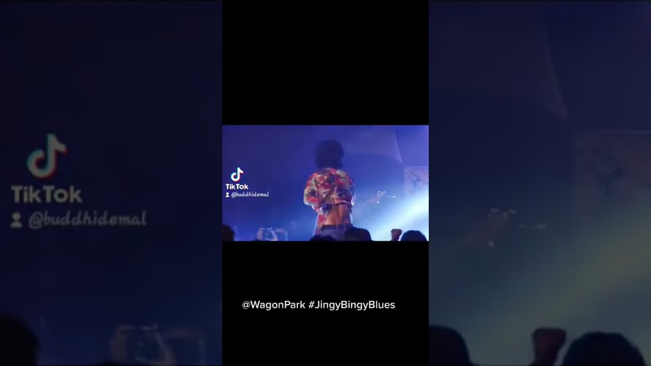 Gun in the Back 🔫 