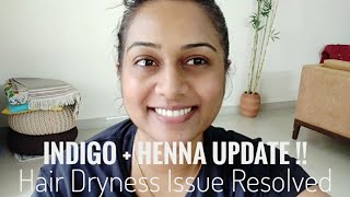 Indigo + Henna Remedy UPDATE !!! Hair Dryness Issue ??