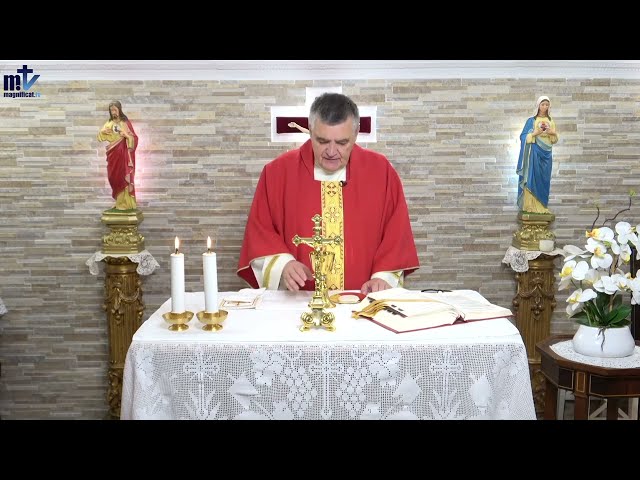 La Santa Misa de hoy | San Bonifacio, obispo y mártir. | 05-06-2024 | Pbro. Santigo Martín, FM class=