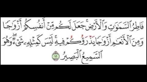 سورة الشورى الآية 11