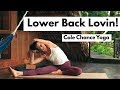 Yoga stretches for lower back pain with cole chance