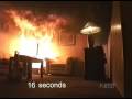 Kerstboompie in je huiskamer