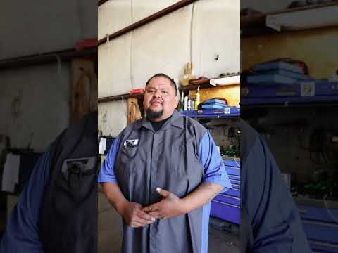 Automotive Workshop Specialists