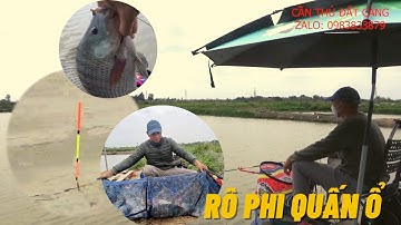 Câu cá rô phi khủng giật thích cả tay l CẦN THỦ ĐẤT CẢNG