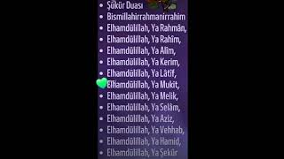 RAHMAN VE RAHİM OLAN ALLAH'IN ADIYLA