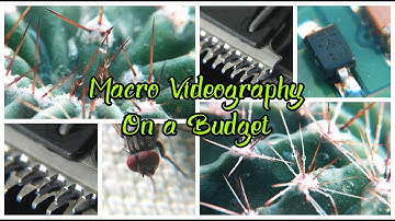 Macro Videography On a Budget | Close-Up Filters