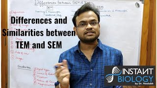 Differences between SEM and TEM Differences between SEM and TEM