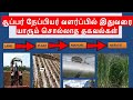 Organic Super Napier from planting to harvesting | Zero budget organic maintenance of Super Napier