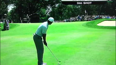 Tiger Woods - Amazing Pitch Shot