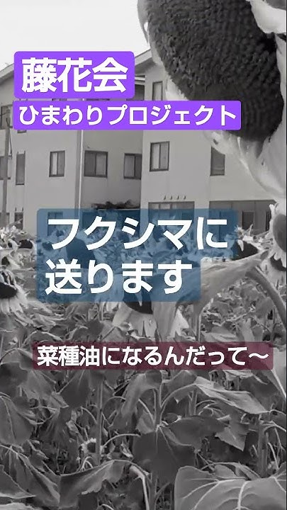 藤花会か それ以外か Youtube