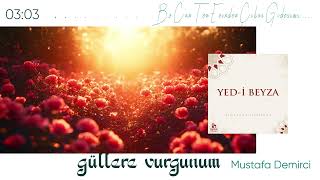 Mustafa Demirci - Güllere Vurgunum / En Sevilen Ezgiler