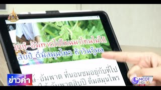 ชัวร์ก่อนแชร์ : สูตรลับยาสมุนไพรรักษาอัมพาต 5 วันเห็นผล จริงหรือ? screenshot 3