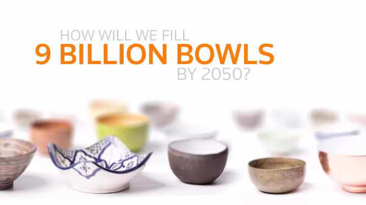 How will we feed 9 billion people in 2050?