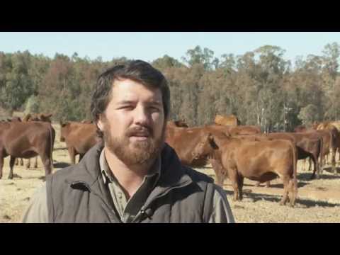 Video: Wat is droë boerdery?