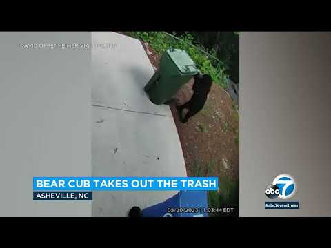 Video: Pet Scoop: Nemocný muž má nemocniční setkání se ztraceným psem, medvěd mládě zachránil z popelnice