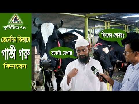 ভিডিও: ইবেতে কীভাবে কিনবেন