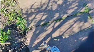 Thorn civiTEQ lampposts different photocells