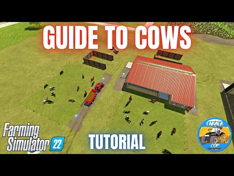 Guide To Cows - Farming Simulator 22