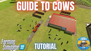GUIDE TO COWS - Farming Simulator 22