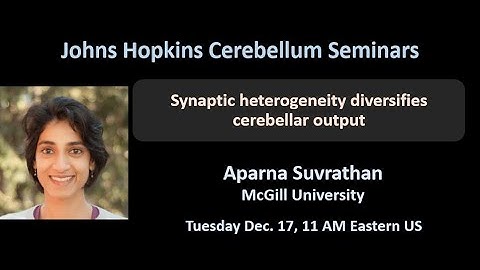 Aparna Suvrathan: timescales of learning in Purkinje cells