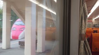 554次莒光號社頭站臨時停車(E229)待避136次普悠瑪自強號