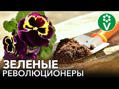 ГЛАВНЫЕ ЗАЩИТНИКИ РАСТЕНИЙ от болезней и вредителей находятся прямо под вашими ногами! Актиномицеты