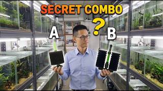 Coarse vs Fine Sponge Filters: The Shocking Truth for Shrimp Breeding!