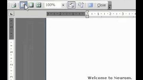 Microsoft Office Word 2003 Edit text in print preview