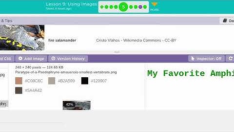 Computer Science Discoveries   U2L9   #5