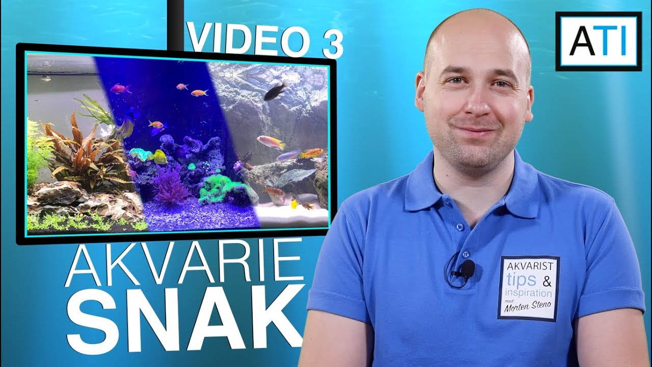 AkvarieSNAK 3 - Nye akvarier, cichlider og saltvand -