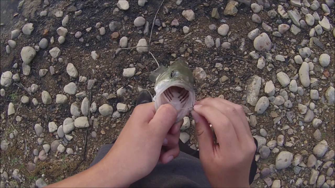 lake-douglas-tn-bass-fishing-youtube