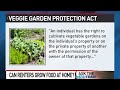 Can Maine landlords restrict tenants' vegetable gardens?