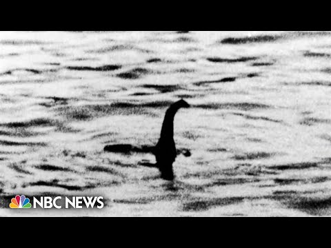 Enthusiasts gather for largest search for Loch Ness monster in decades