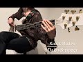 DaizyStripper/Knock Shadow 弾いてみた