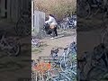 Vrouw steelt kinderfiets bij school | Plaats Delict | #shorts