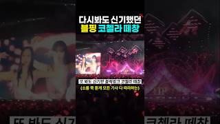 소름 쭉 돋았던 블랙핑크 코첼라 떼창?