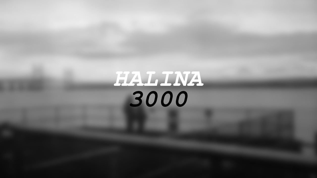 Halina 3000 (Maybe don't buy this one)