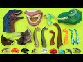 50 Dinosaur Heads - Walking Brachiosaurus, Triceratops! Jurassic World Dinosaurs