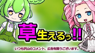 草草草