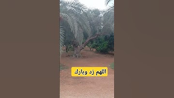 سورة الناس للشيخ خالد عبد الجليل حفظه الله #القران_الكريم #اكسبلور #خالد_الجليل #سورة_الناس #دويتو