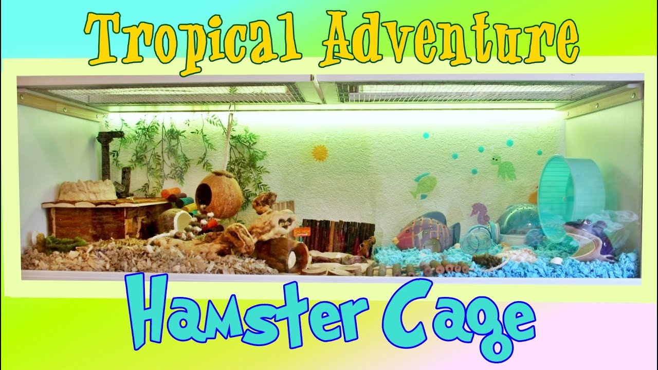 beach themed hamster cage