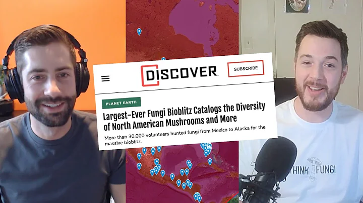 30,000 People Go Hunting for Mushrooms - Interview...