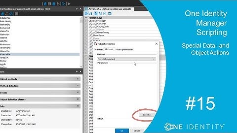 One Identity Manager | Scripting #15 | Database and API - Special Data- and Object Actions