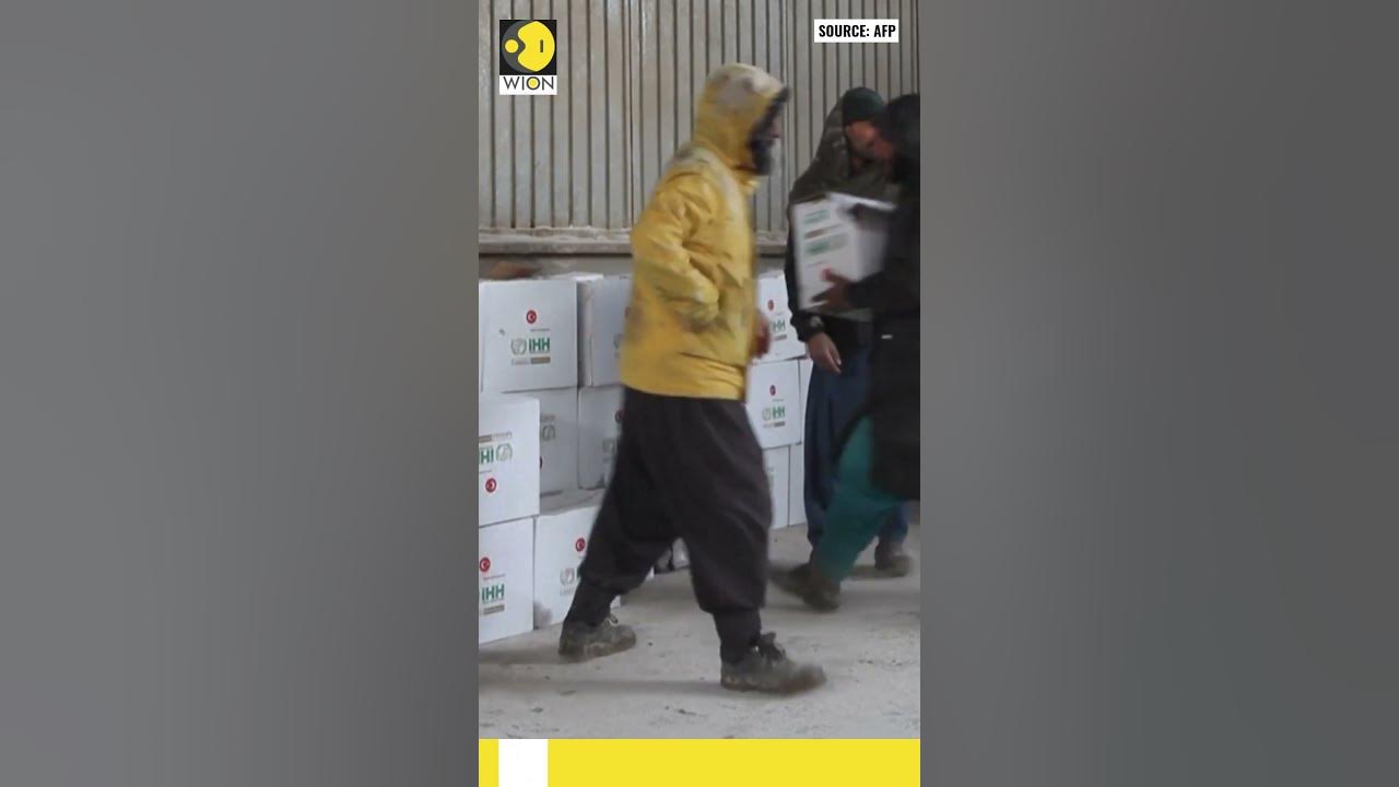 Watch: Turkish train carrying humanitarian aid arrives in Afghanistan | WION Shorts