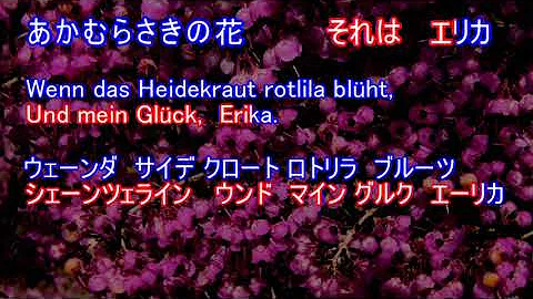 تحميل ドイツ 軍歌 エリカ تحميل ドイツ 軍歌 エリカ