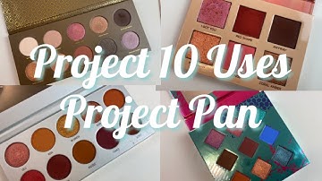 PROJECT 10 USES PROJECT PAN UPDATE!